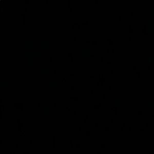 Meet your Posher, Arianna